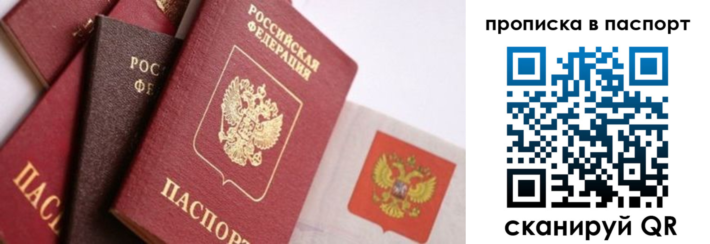 прописка штамп в Фокино